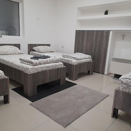 Apartman Mladenovic Διαμέρισμα Zaječar Εξωτερικό φωτογραφία